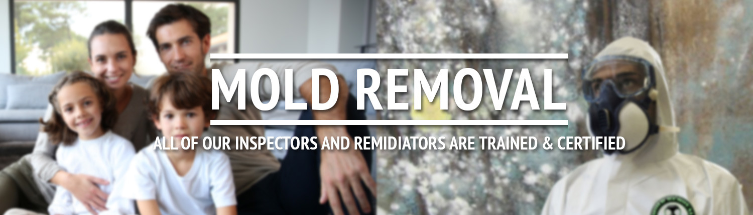 Mold Remediation Charlotte NC